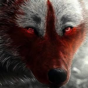 Meet your Posher, Colby